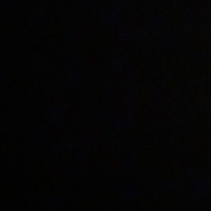 Meet your Posher, Lexa